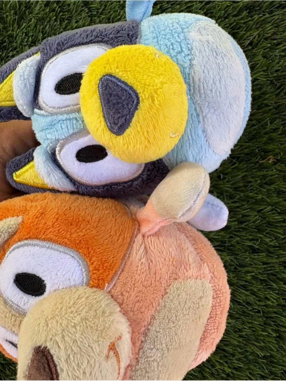 Bluey slippers and shoes size 5/6 toddler